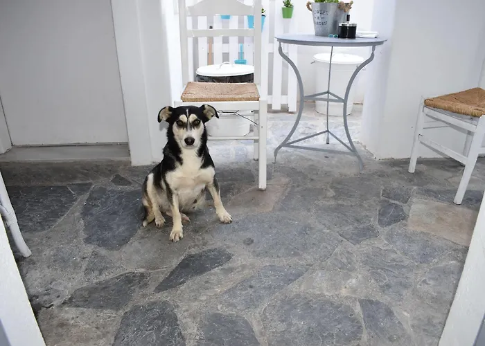 Aparthotel Zacharakis Kamári