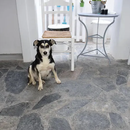 Aparthotel Zacharakis Kamari (Santorini)